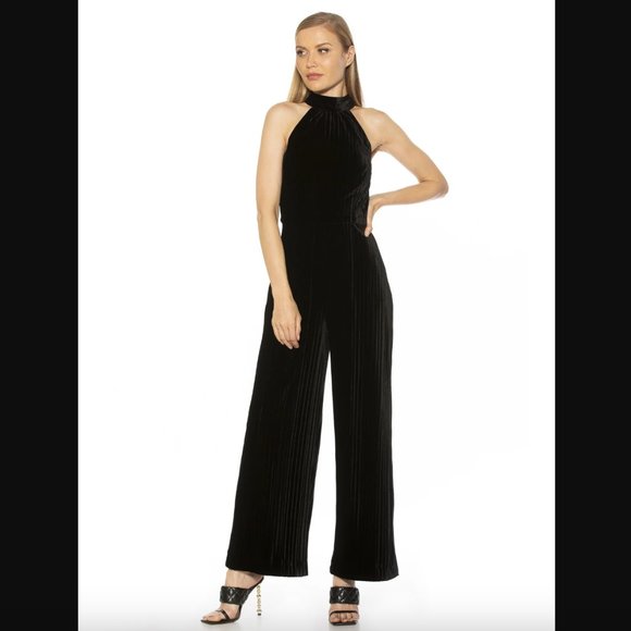 Alexia Admor Meghan Velvet Jumpsuit Size 8 - Picture 1 of 12